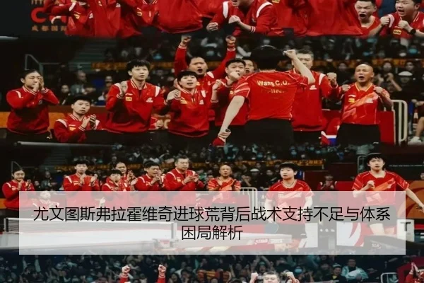 尤文图斯弗拉霍维奇进球荒背后战术支持不足与体系困局解析